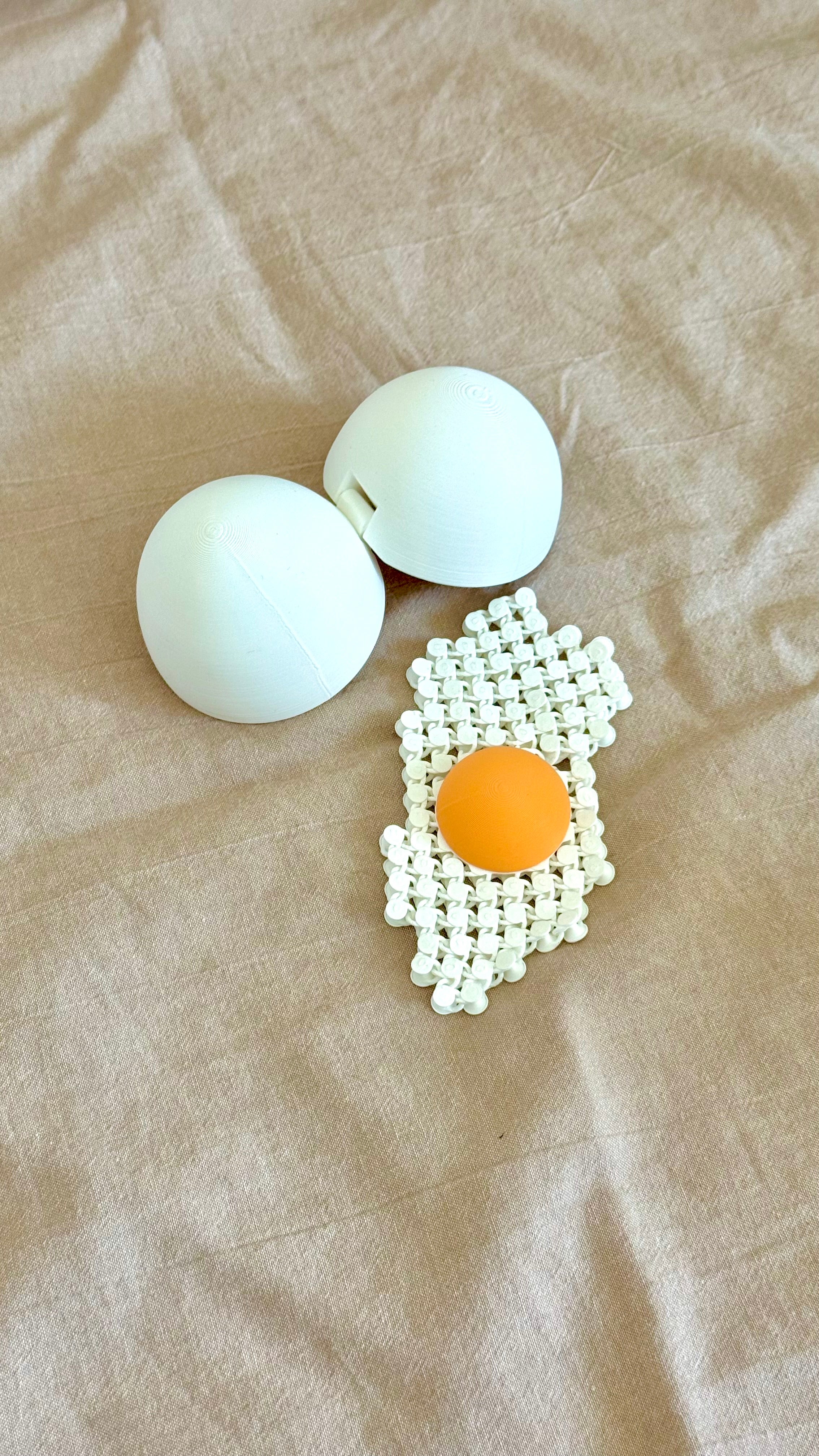 3D Printed Egg